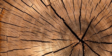 Wood & MDF